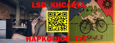 винт Шелехов