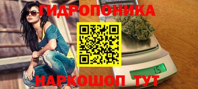 сатива Шахты
