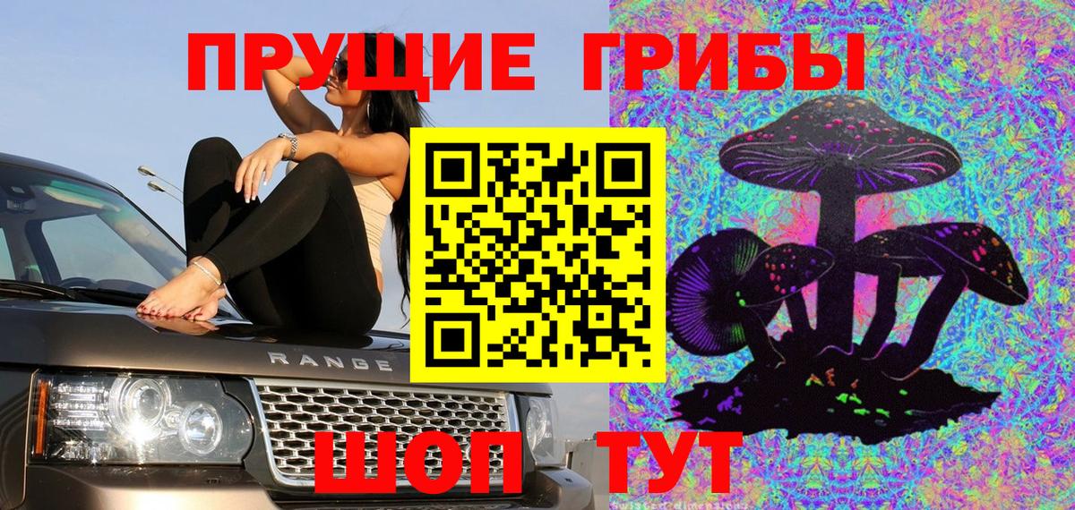 Псилоцибиновые грибы Cubensis Азнакаево